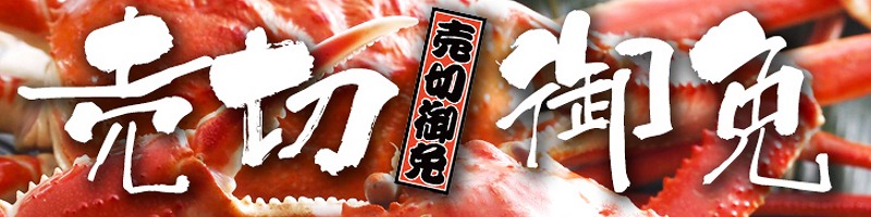 ������Ⴂ���Ɏs����T�C�g